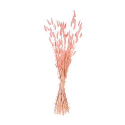DECORATIVE DRIED BOUQUEΤ RABBIT TAIL HM7960 PINK 75Hcm.