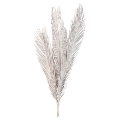 DECORATIVE DRIED 3-LEAF SET OF PALM TREE ΗΜ7957 SILVER 1120Hcm.