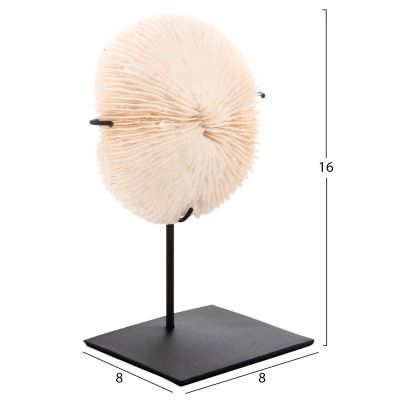 TABLE DECORATION HM4273 CORAL IN NATURAL COLOR- BLACK METAL STAND 8x8x16H cm.
