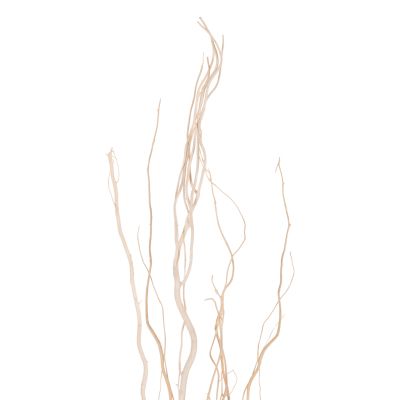 ДЕКОРАТИВЕН БУКЕТ 5БР СУХИ ВЪРБОВИ КЛОНКИ HM7966 КРЕМ 170Hcm.