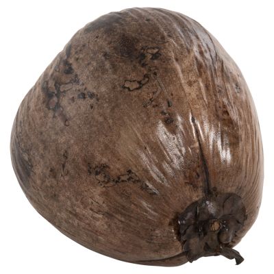 TABLE DECORATION HM4326.01 COCONUT IN NATURAL COLOR 20x20x20Hcm.