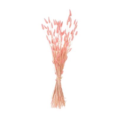 DECORATIVE DRIED BOUQUEΤ RABBIT TAIL HM7960 PINK 75Hcm.