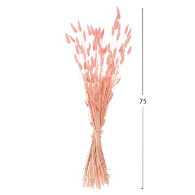 DECORATIVE DRIED BOUQUEΤ RABBIT TAIL HM7960 PINK 75Hcm.