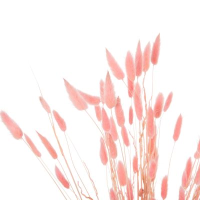 DECORATIVE DRIED BOUQUEΤ RABBIT TAIL HM7960 PINK 75Hcm.