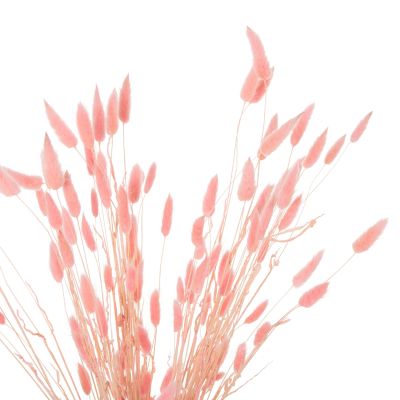 DECORATIVE DRIED BOUQUEΤ RABBIT TAIL HM7960 PINK 75Hcm.