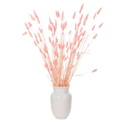 DECORATIVE DRIED BOUQUEΤ RABBIT TAIL HM7960 PINK 75Hcm.