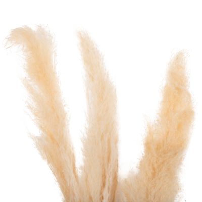 ДЕКОРАТИВНА СУХА ТЪСТЪКИЯ 3БР HM7961 БЯЛА 140Hcm.