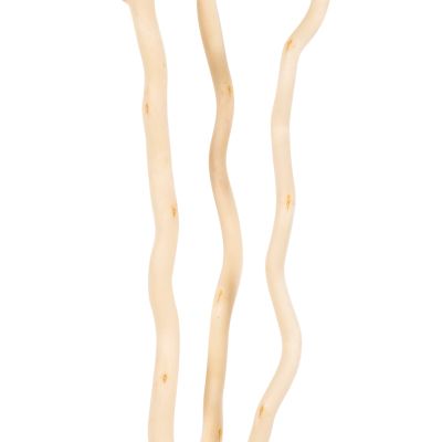 ДЕКОРАТИВЕН БУКЕТ HM7967 3БР ИЗСУШЕНИ КЛОНКИ АЛБА В КРЕМАВ ЦВЯТ 1803Hcm.