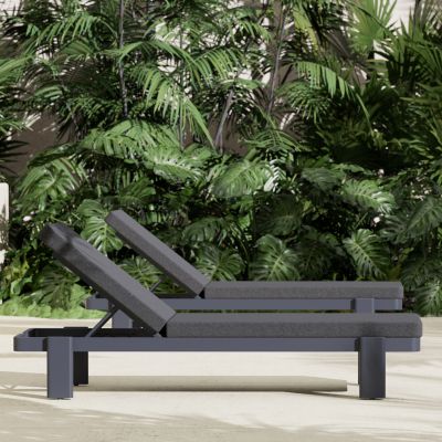 Професионален шезлонг Baron