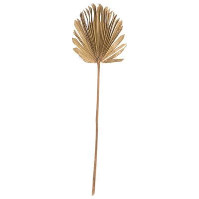 WALL DECOR HM7876 DRIED PALM LEAF IN NATURAL COLOR 30x102x3 cm.