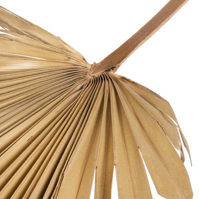 WALL DECOR HM7876 DRIED PALM LEAF IN NATURAL COLOR 30x102x3 cm.