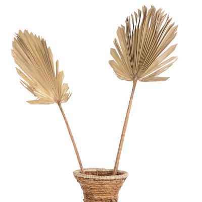 WALL DECOR HM7876 DRIED PALM LEAF IN NATURAL COLOR 30x102x3 cm.