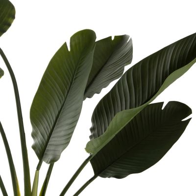ДЕКОРАТИВНО СИНТЕТИЧНО РАСТЕНИЕ В САКСИЯ STRELITZIACEAE 150Hcm.