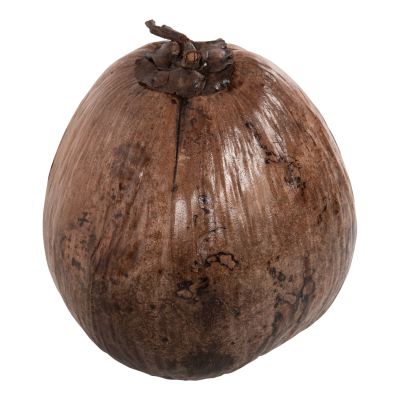 TABLE DECORATION HM4326.01 COCONUT IN NATURAL COLOR 20x20x20Hcm.