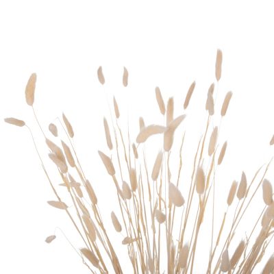 ДЕКОРАТИВЕН СУШЕН БУКЕТ ЗАЕШКА ОПАШКА HM7959 КРЕМ 76Hcm.