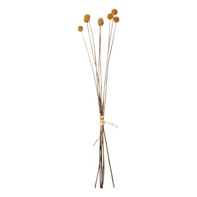 ДЕКОРАТИВЕН ИЗСУШЕН БУКЕТ CRASPEDIA GLOBOSA HM7956 ЖЪЛТ 63Hcm.