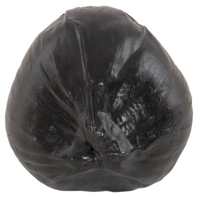 TABLE DECORATION HM4326.02 COCONUT IN BLACK COLOR 20x20x20Hcm.