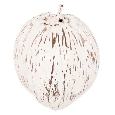 TABLE DECORATION HM4326.05 COCONUT IN WHITE COLOR 20x20x20Hcm.