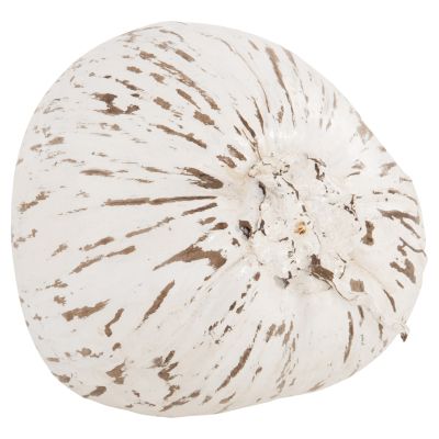 TABLE DECORATION HM4326.05 COCONUT IN WHITE COLOR 20x20x20Hcm.